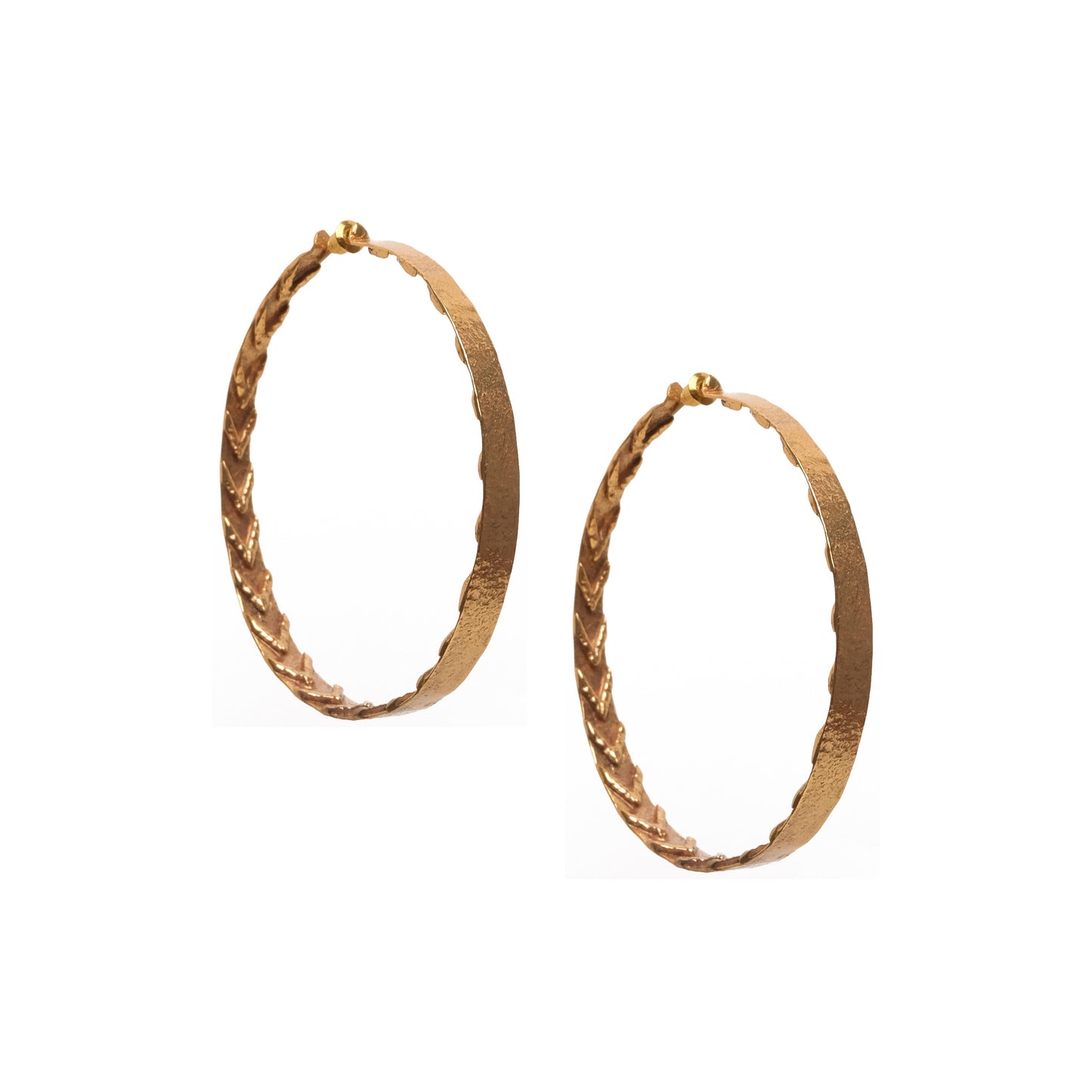 The C-LO Hoop Earrings